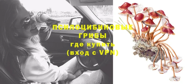 бошки Алексеевка