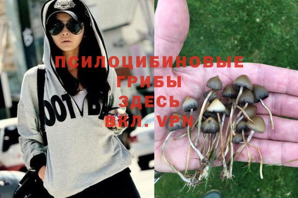 бошки Алексеевка