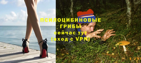 синтетический гашиш Алексин