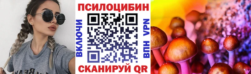 Галлюциногенные грибы мицелий  blacksprut рабочий сайт  Княгинино 